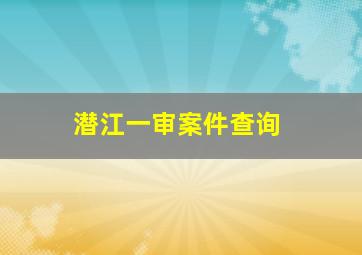 潜江一审案件查询