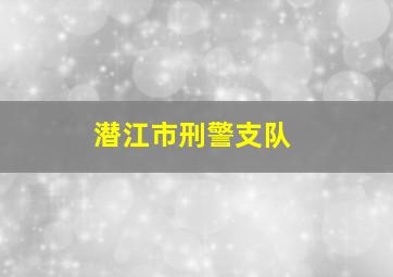 潜江市刑警支队