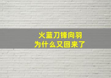 火蓝刀锋向羽为什么又回来了