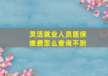 灵活就业人员医保缴费怎么查询不到