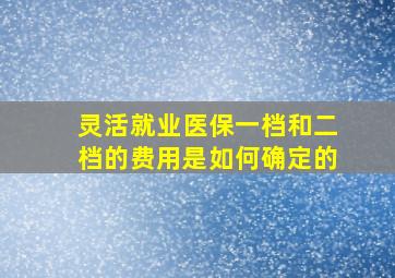 灵活就业医保一档和二档的费用是如何确定的