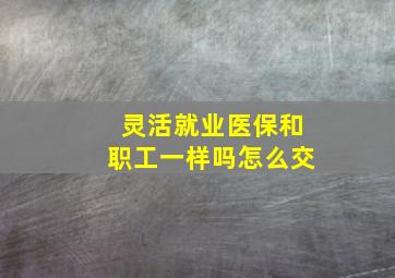 灵活就业医保和职工一样吗怎么交