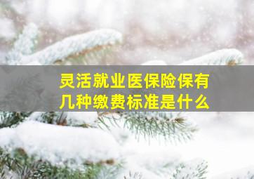 灵活就业医保险保有几种缴费标准是什么