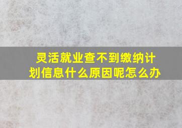 灵活就业查不到缴纳计划信息什么原因呢怎么办