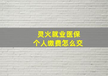 灵火就业医保个人缴费怎么交