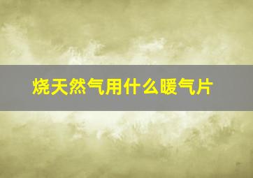 烧天然气用什么暖气片