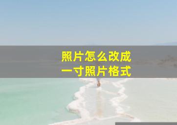 照片怎么改成一寸照片格式