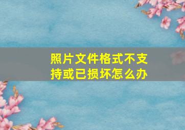 照片文件格式不支持或已损坏怎么办