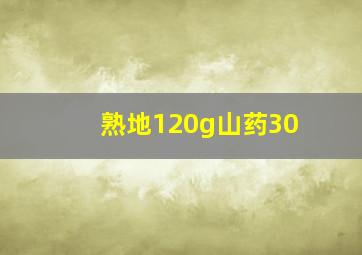 熟地120g山药30