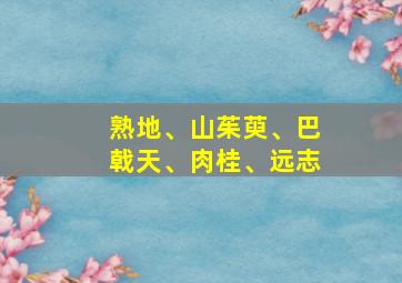 熟地、山茱萸、巴戟天、肉桂、远志