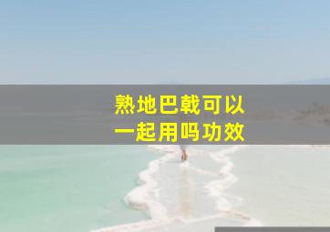 熟地巴戟可以一起用吗功效