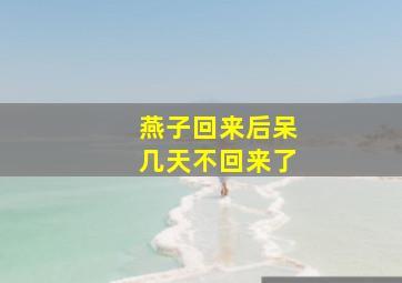 燕子回来后呆几天不回来了