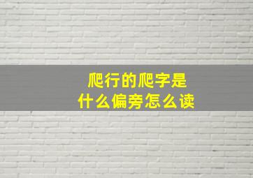 爬行的爬字是什么偏旁怎么读