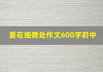 爱在细微处作文600字初中