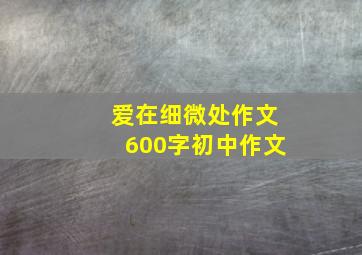 爱在细微处作文600字初中作文