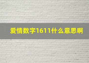 爱情数字1611什么意思啊