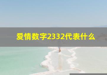 爱情数字2332代表什么