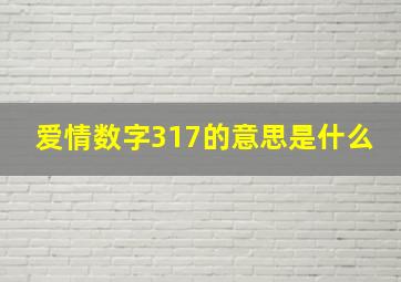 爱情数字317的意思是什么