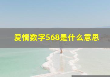 爱情数字568是什么意思