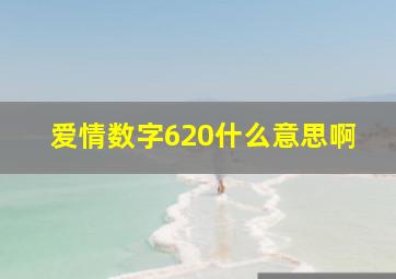 爱情数字620什么意思啊