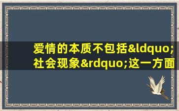 爱情的本质不包括“社会现象”这一方面