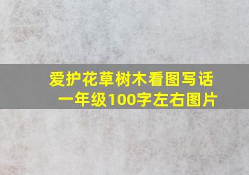 爱护花草树木看图写话一年级100字左右图片