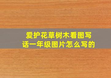 爱护花草树木看图写话一年级图片怎么写的