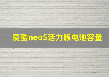 爱酷neo5活力版电池容量