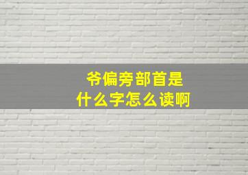 爷偏旁部首是什么字怎么读啊