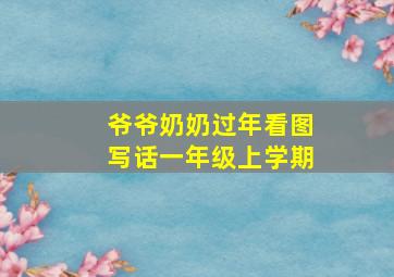 爷爷奶奶过年看图写话一年级上学期