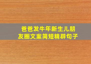 爸爸发牛年新生儿朋友圈文案简短精辟句子