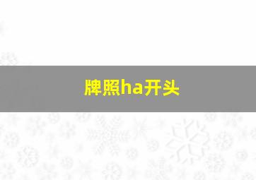 牌照ha开头