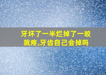 牙坏了一半烂掉了一咬就疼,牙齿自己会掉吗