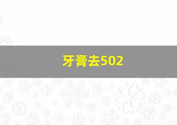 牙膏去502