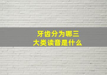 牙齿分为哪三大类读音是什么