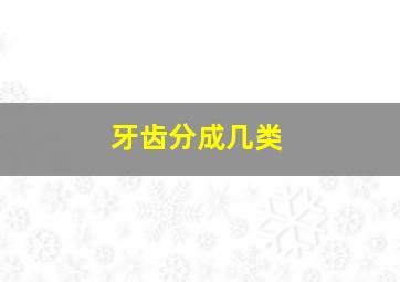 牙齿分成几类