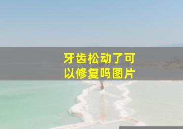 牙齿松动了可以修复吗图片