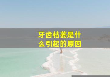 牙齿枯萎是什么引起的原因