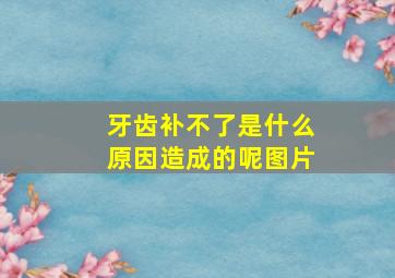 牙齿补不了是什么原因造成的呢图片