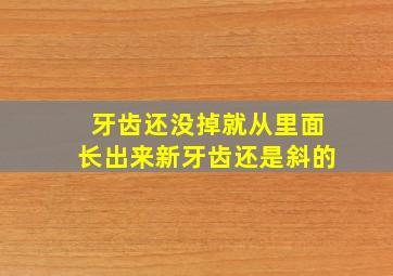 牙齿还没掉就从里面长出来新牙齿还是斜的