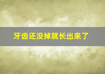 牙齿还没掉就长出来了