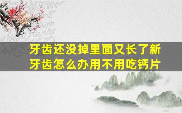 牙齿还没掉里面又长了新牙齿怎么办用不用吃钙片