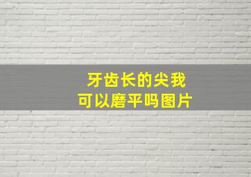 牙齿长的尖我可以磨平吗图片