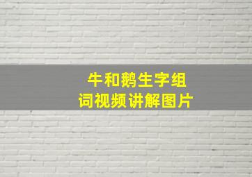 牛和鹅生字组词视频讲解图片