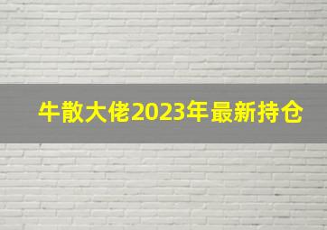 牛散大佬2023年最新持仓