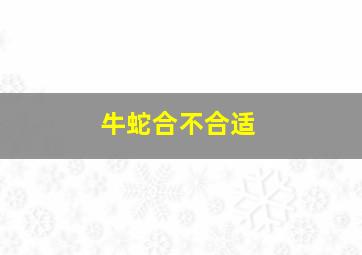 牛蛇合不合适