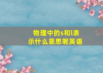 物理中的s和l表示什么意思呢英语