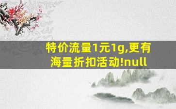 特价流量1元1g,更有海量折扣活动!null