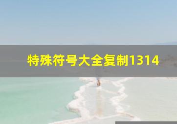 特殊符号大全复制1314