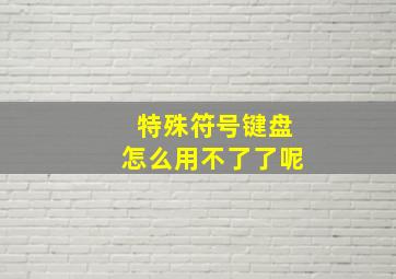 特殊符号键盘怎么用不了了呢